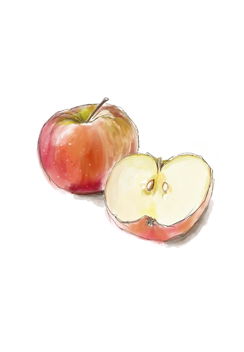 Иллюстрация КулашБагы