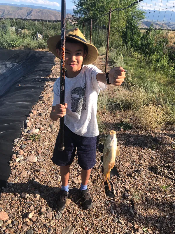 Яблоневый сад КулашБагы в предгорьях Алатау